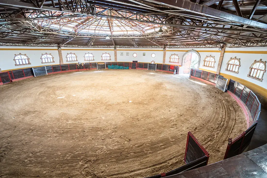 Finca ganadera de lujo de 93 ha con plaza de toros · Robledo de Chavela - imagen 18