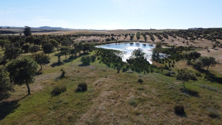 Hacienda Valverde — Finca rústica de 88 ha con cortijo, pozos y embalses · La Puebla de Guzmán (Huelva) · vivienda en venta · Yolanda González