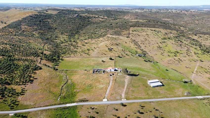 Hacienda Valverde — Finca rústica de 88 ha con cortijo, pozos y embalses · La Puebla de Guzmán (Huelva) - imagen 3