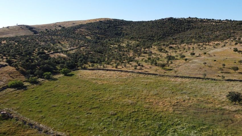 Hacienda Valverde — Finca rústica de 88 ha con cortijo, pozos y embalses · La Puebla de Guzmán (Huelva) - imagen 4