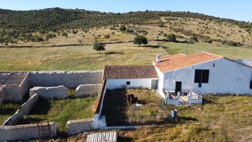 Hacienda Valverde — Finca rústica de 88 ha con cortijo, pozos y embalses · La Puebla de Guzmán (Huelva) - imagen 5