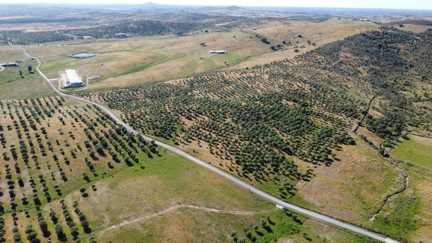 Hacienda Valverde — Finca rústica de 88 ha con cortijo, pozos y embalses · La Puebla de Guzmán (Huelva) - imagen 13