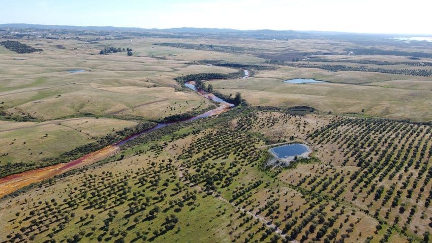 Hacienda Valverde — Finca rústica de 88 ha con cortijo, pozos y embalses · La Puebla de Guzmán (Huelva) - imagen 20