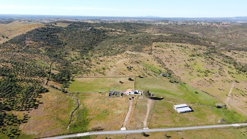 Hacienda Valverde — Finca rústica de 88 ha con cortijo, pozos y embalses · La Puebla de Guzmán (Huelva) - imagen 32