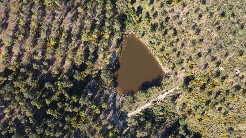 Hacienda Valverde — Finca rústica de 88 ha con cortijo, pozos y embalses · La Puebla de Guzmán (Huelva) - imagen 38