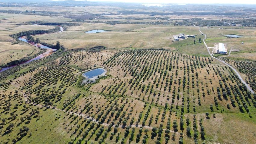 Hacienda Valverde — Finca rústica de 88 ha con cortijo, pozos y embalses · La Puebla de Guzmán (Huelva) - imagen 40