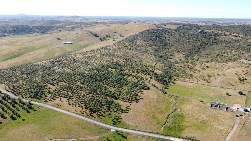 Hacienda Valverde — Finca rústica de 88 ha con cortijo, pozos y embalses · La Puebla de Guzmán (Huelva) - imagen 41