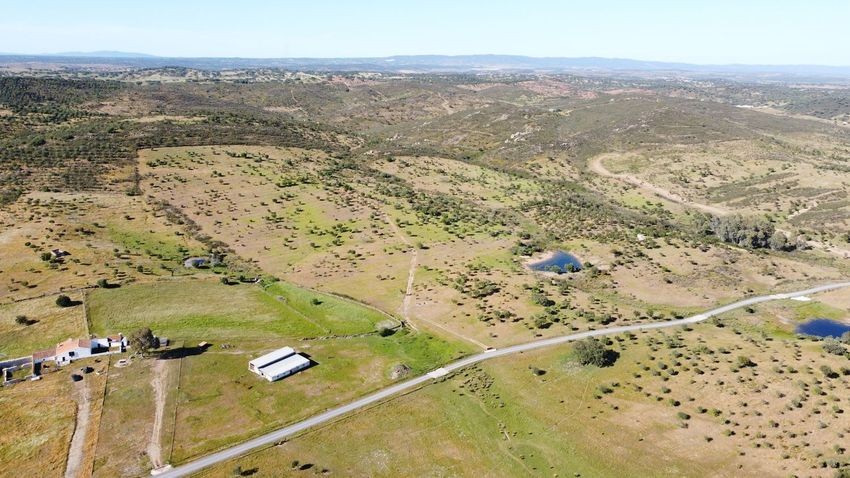 Hacienda Valverde — Finca rústica de 88 ha con cortijo, pozos y embalses · La Puebla de Guzmán (Huelva) - imagen 42