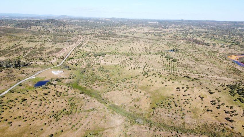Hacienda Valverde — Finca rústica de 88 ha con cortijo, pozos y embalses · La Puebla de Guzmán (Huelva) - imagen 43