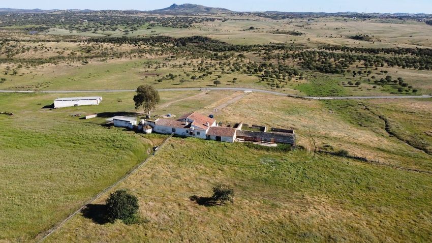 Hacienda Valverde — Finca rústica de 88 ha con cortijo, pozos y embalses · La Puebla de Guzmán (Huelva) - imagen 45