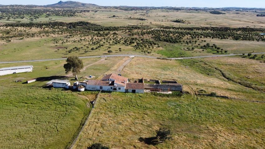 Hacienda Valverde — Finca rústica de 88 ha con cortijo, pozos y embalses · La Puebla de Guzmán (Huelva) - imagen 47