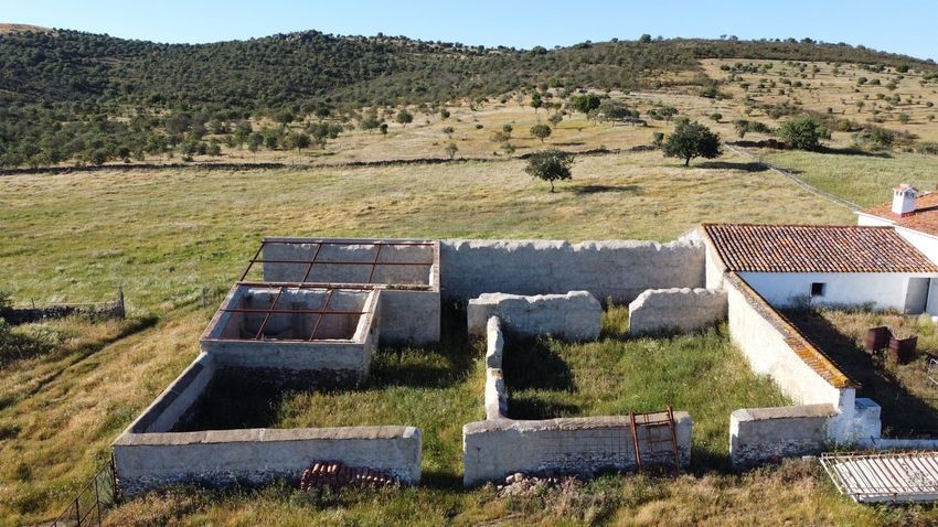 Hacienda Valverde — Finca rústica de 88 ha con cortijo, pozos y embalses · La Puebla de Guzmán (Huelva) - imagen 51