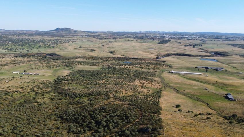Hacienda Valverde — Finca rústica de 88 ha con cortijo, pozos y embalses · La Puebla de Guzmán (Huelva) - imagen 52