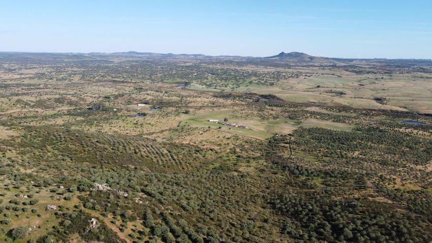 Hacienda Valverde — Finca rústica de 88 ha con cortijo, pozos y embalses · La Puebla de Guzmán (Huelva) - imagen 53