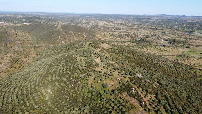 Hacienda Valverde — Finca rústica de 88 ha con cortijo, pozos y embalses · La Puebla de Guzmán (Huelva) - imagen 55