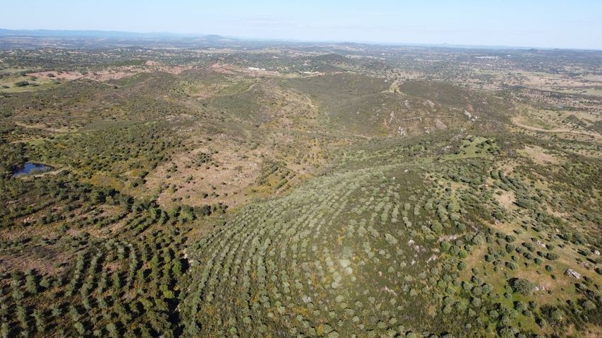 Hacienda Valverde — Finca rústica de 88 ha con cortijo, pozos y embalses · La Puebla de Guzmán (Huelva) - imagen 56