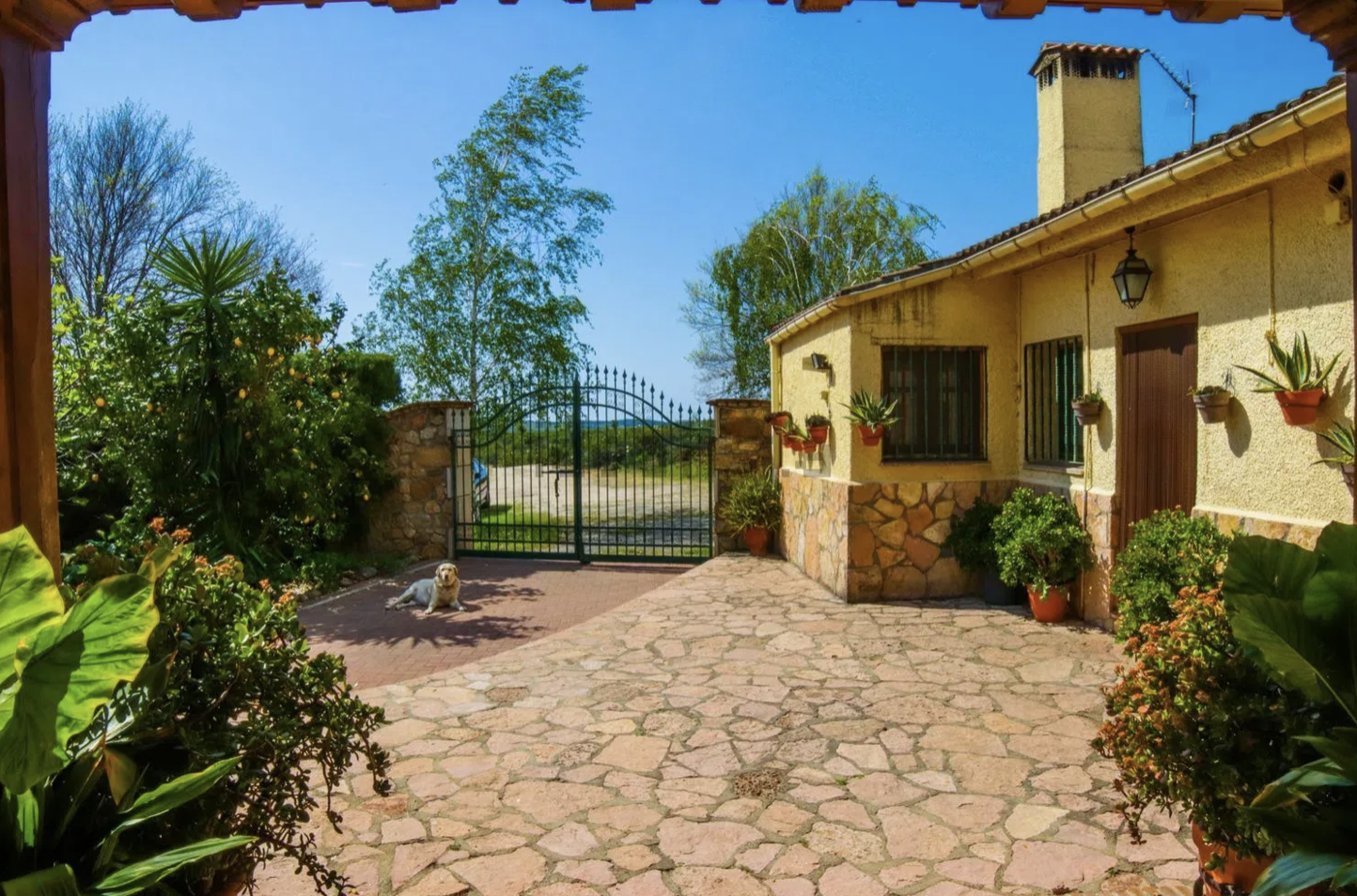 Finca de lujo con tres viviendas y piscina climatizada · Jarandilla de la Vera - imagen 7