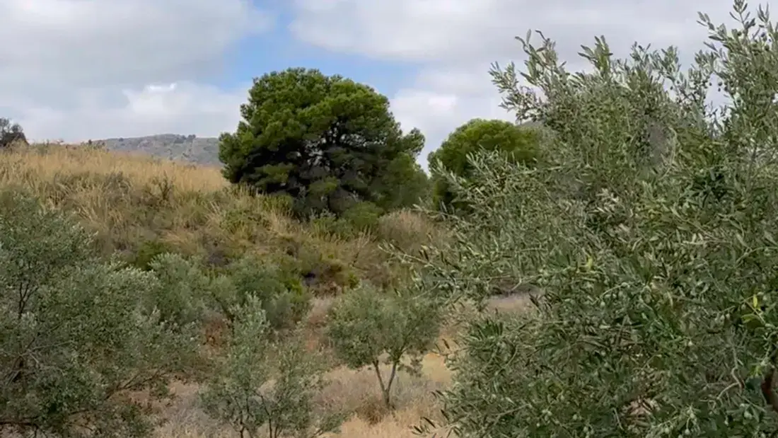 Finca rústica de 2.500.000 m² con vistas al mar entre Lorca y Águilas - imagen 3