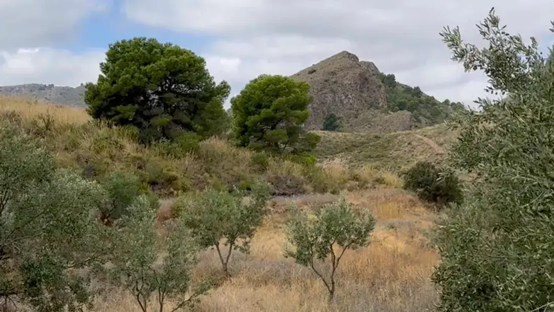 Finca rústica de 2.500.000 m² con vistas al mar entre Lorca y Águilas - imagen 4