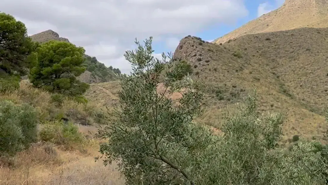 Finca rústica de 2.500.000 m² con vistas al mar entre Lorca y Águilas - imagen 6