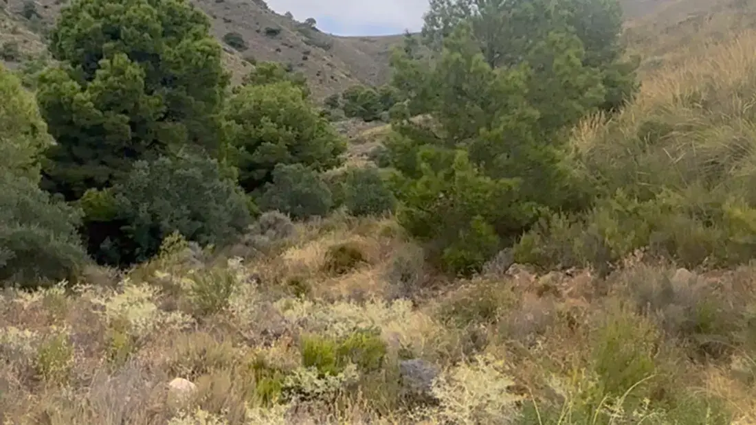 Finca rústica de 2.500.000 m² con vistas al mar entre Lorca y Águilas - imagen 15