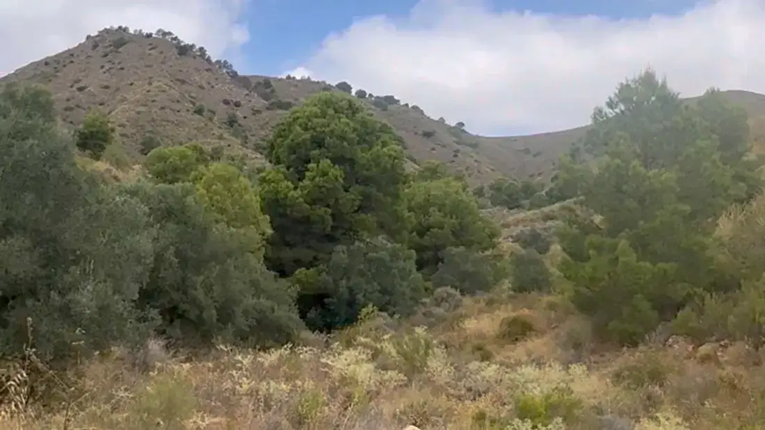 Finca rústica de 2.500.000 m² con vistas al mar entre Lorca y Águilas - imagen 18