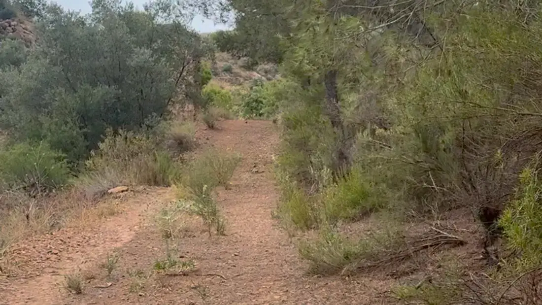 Finca rústica de 2.500.000 m² con vistas al mar entre Lorca y Águilas - imagen 20