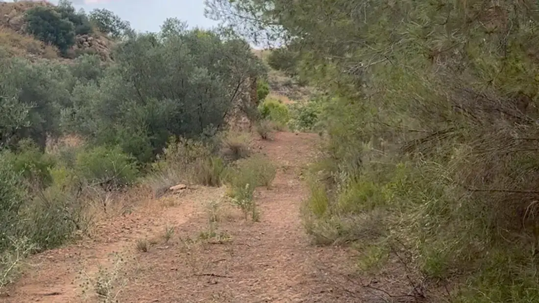 Finca rústica de 2.500.000 m² con vistas al mar entre Lorca y Águilas - imagen 21
