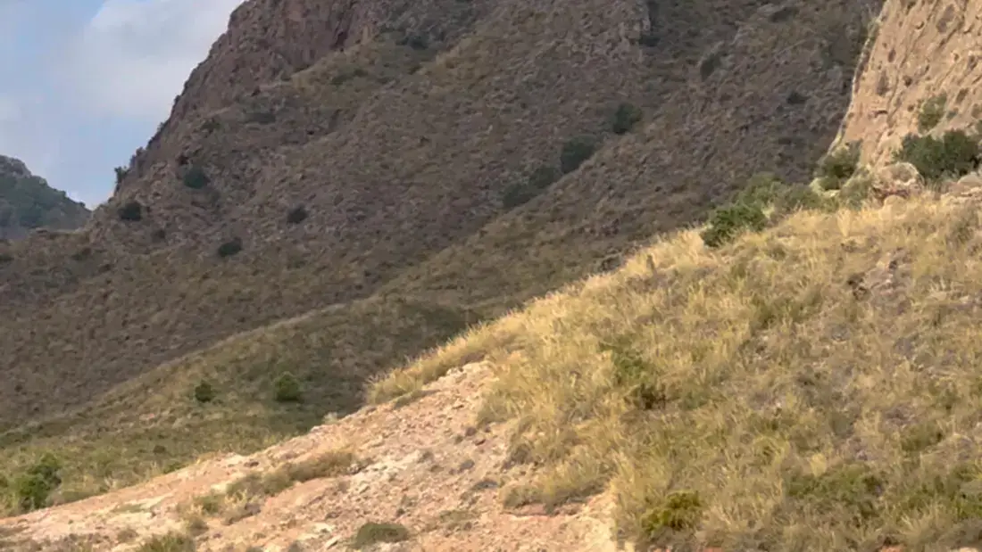 Finca rústica de 2.500.000 m² con vistas al mar entre Lorca y Águilas - imagen 24