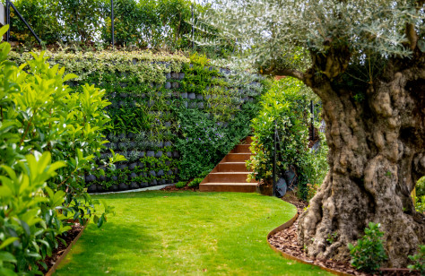 The Hills 12 — La Quinta - imagen 54