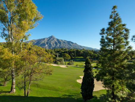 Villa Alaya — Aloha, Nueva Andalucía - imagen 4