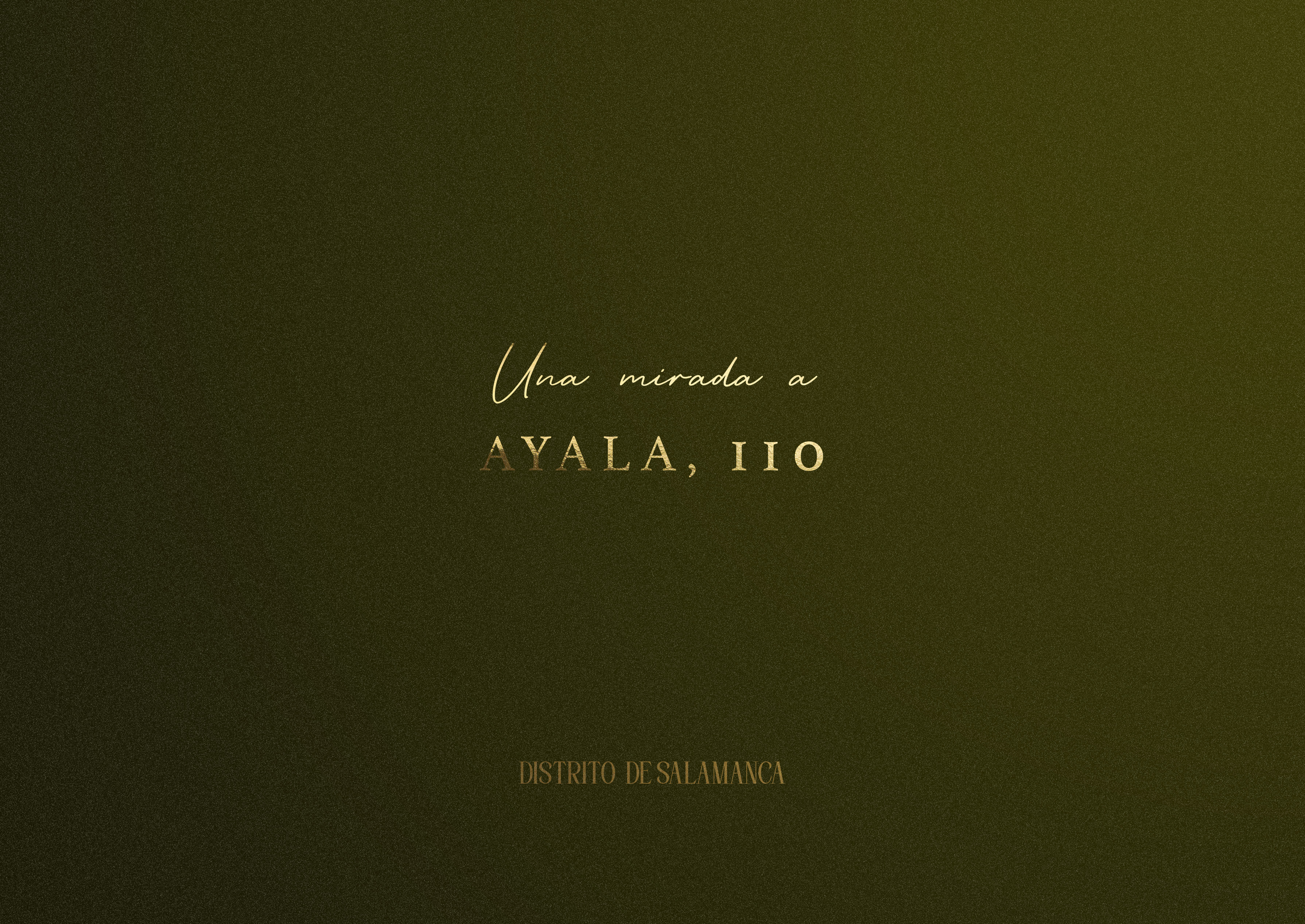 Ayala 110 — Goya, Salamanca · vivienda en venta en Madrid · Yolanda González