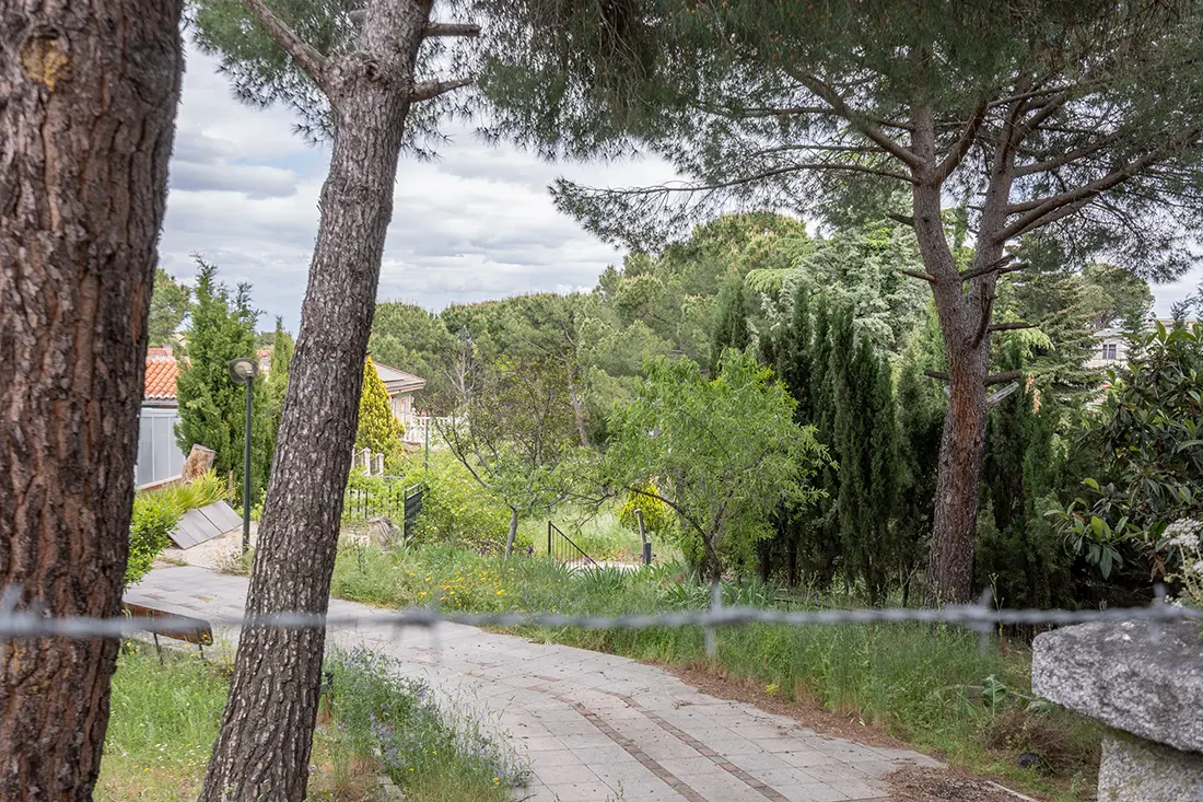 Parcela urbana de 600 m² con piscina y pozo · Las Matas-Peñascales, Las Rozas - imagen 6