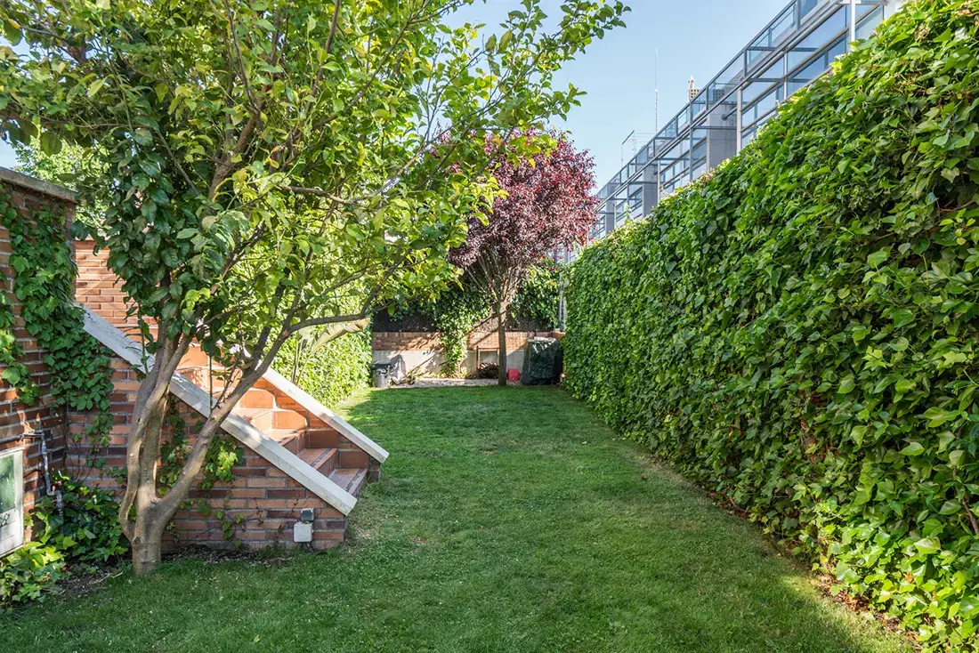 Bajo con jardín en Las Rozas - imagen 8