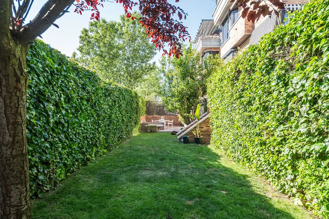 Bajo con jardín en Las Rozas - imagen 9