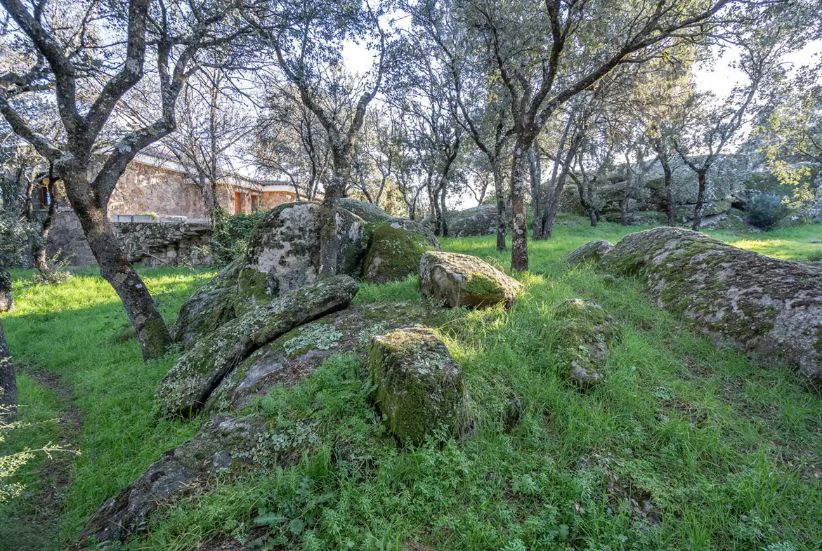Finca con Caserón en Galapagar, Madrid. - imagen 22