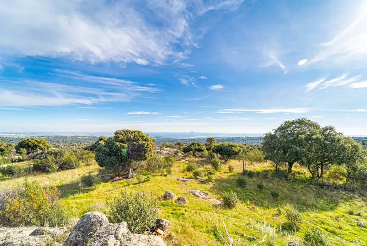 Finca Rústica en Hoyo de Manzanares - imagen 4