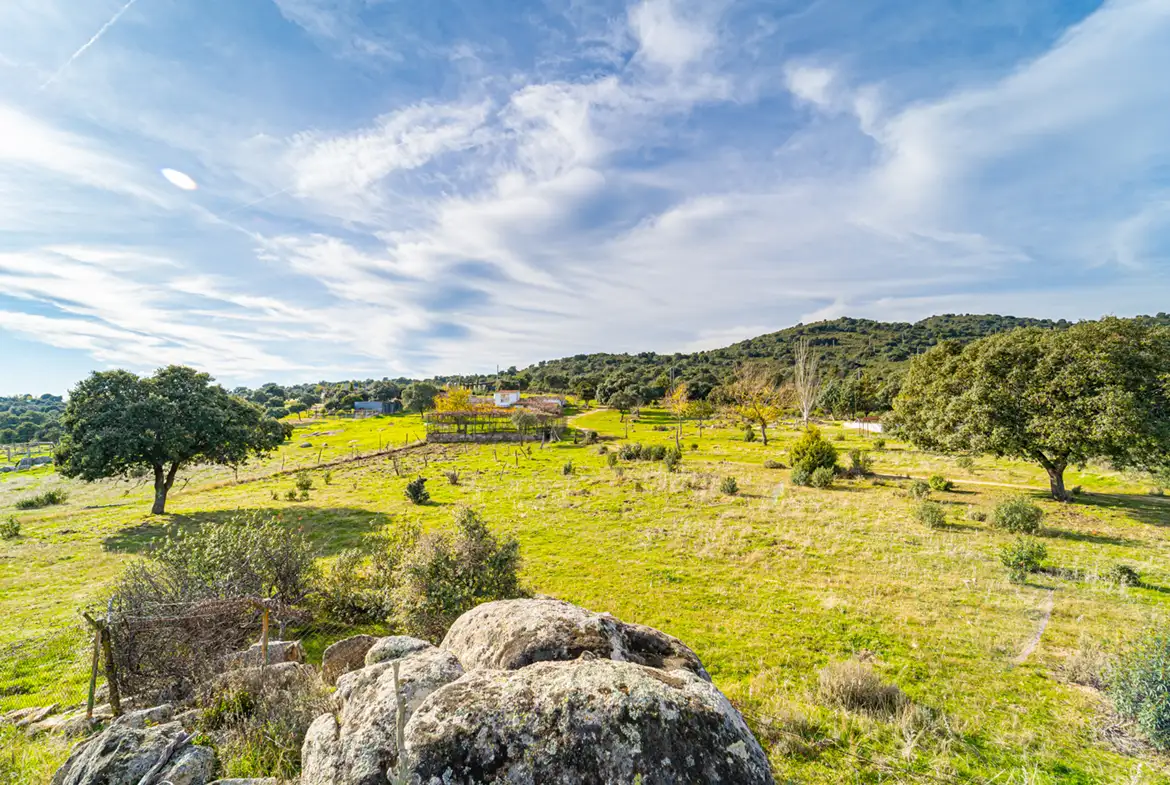Finca Rústica en Hoyo de Manzanares - imagen 5