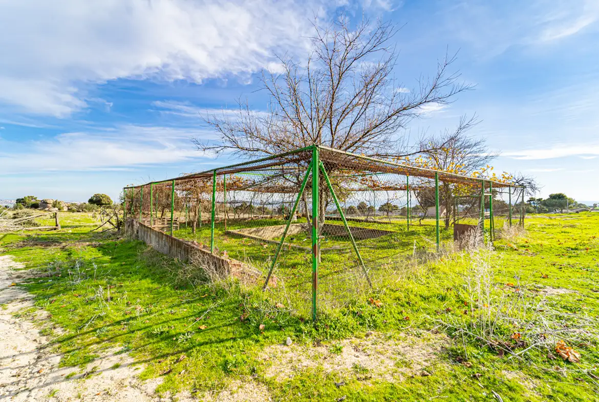 Finca Rústica en Hoyo de Manzanares - imagen 8