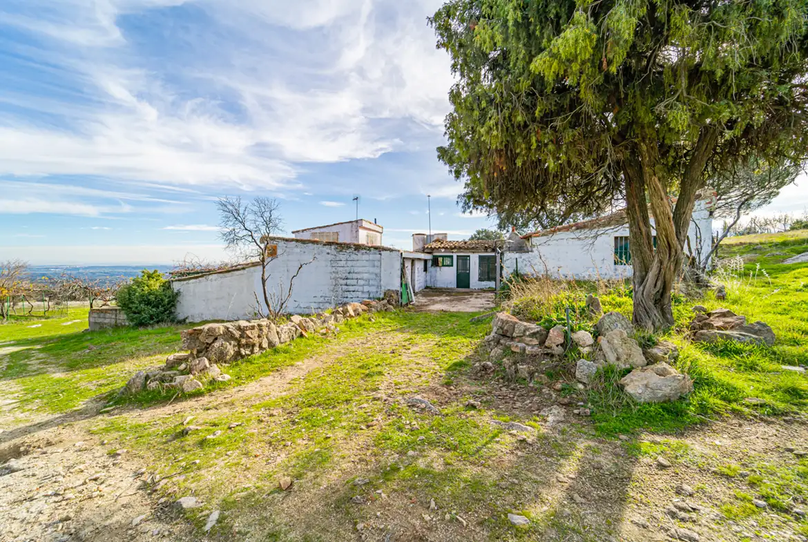 Finca Rústica en Hoyo de Manzanares - imagen 13