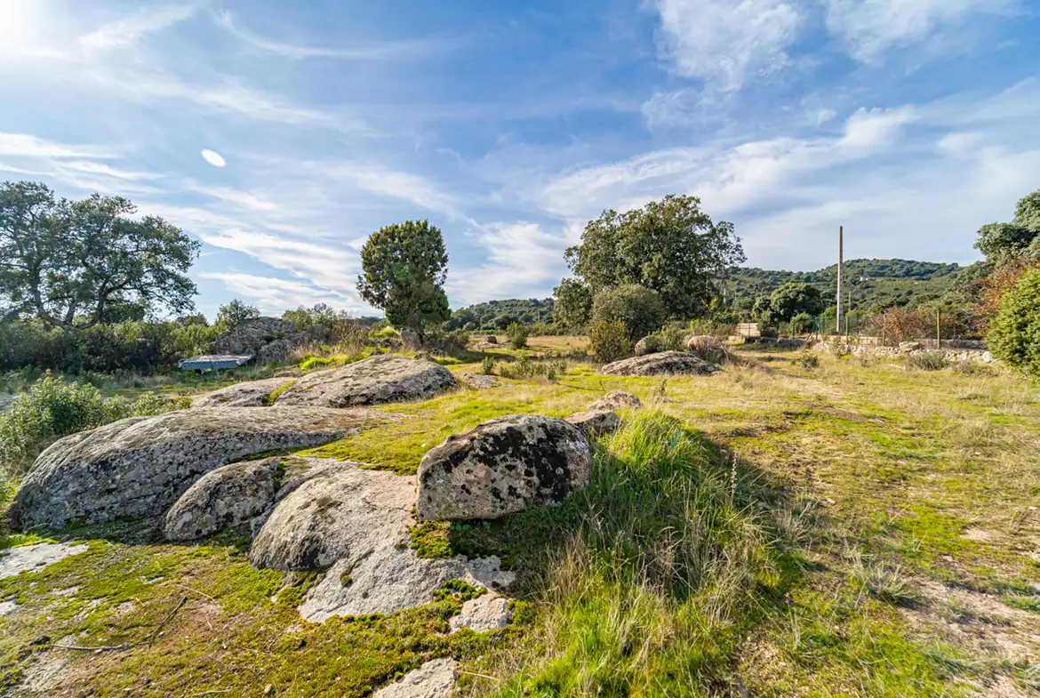 Finca Rústica en Hoyo de Manzanares - imagen 16