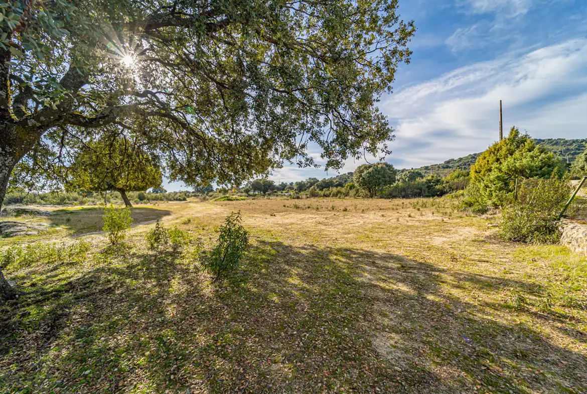 Finca Rústica en Hoyo de Manzanares - imagen 17