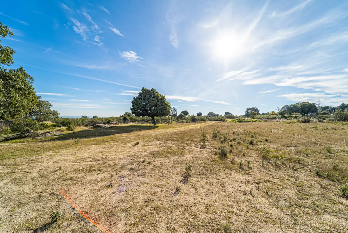Finca Rústica en Hoyo de Manzanares - imagen 19
