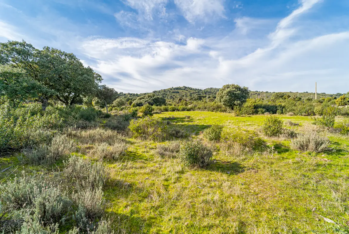 Finca Rústica en Hoyo de Manzanares - imagen 22