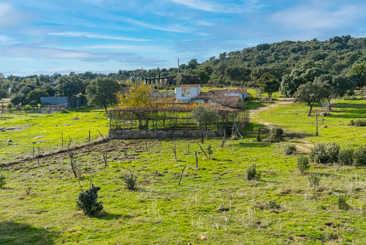 Finca Rústica en Hoyo de Manzanares - imagen 36