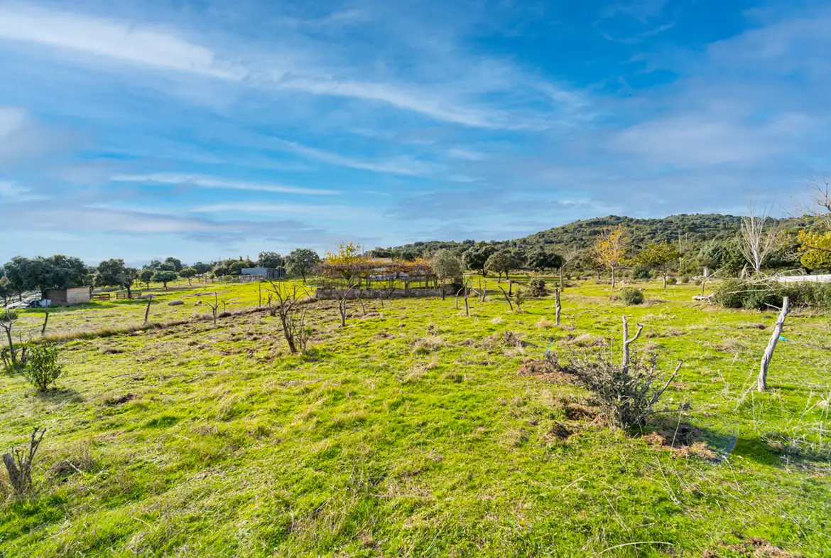 Finca Rústica en Hoyo de Manzanares - imagen 37