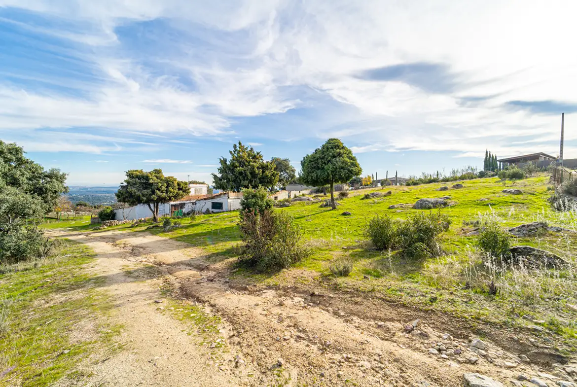 Finca Rústica en Hoyo de Manzanares - imagen 40