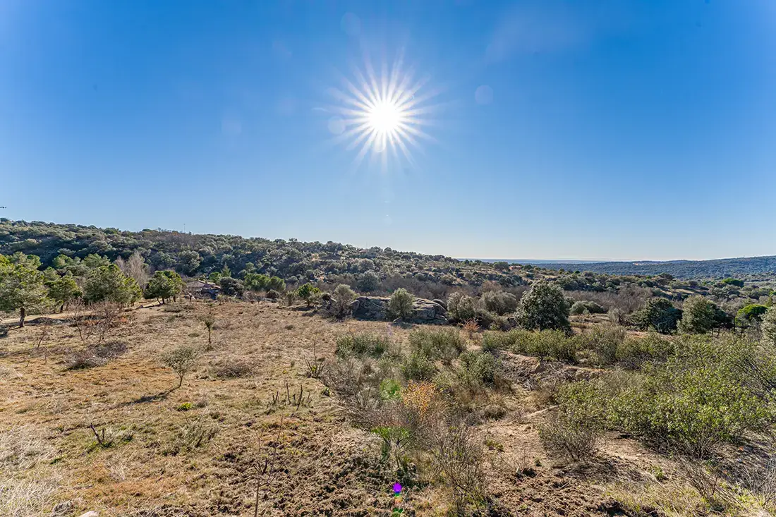 Finca rústica en Valdemorillo en venta - imagen 3