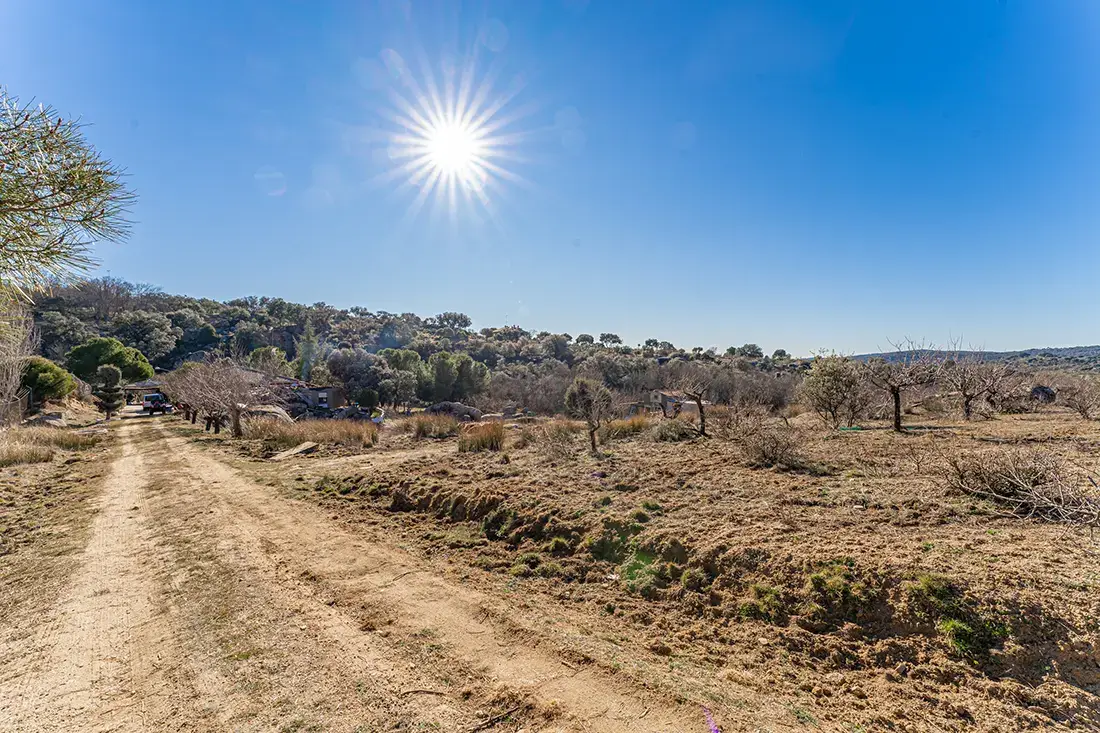 Finca rústica en Valdemorillo en venta - imagen 5