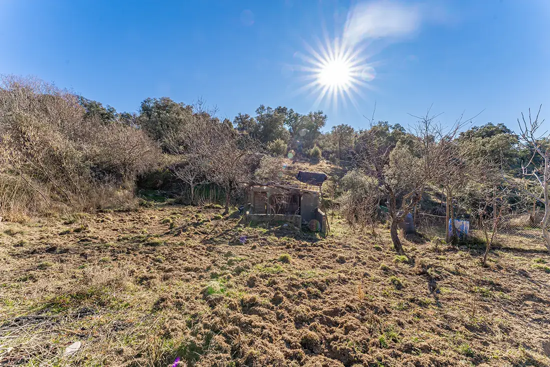 Finca rústica en Valdemorillo en venta - imagen 6